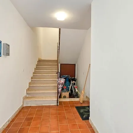 Pepi Novigrad Istria