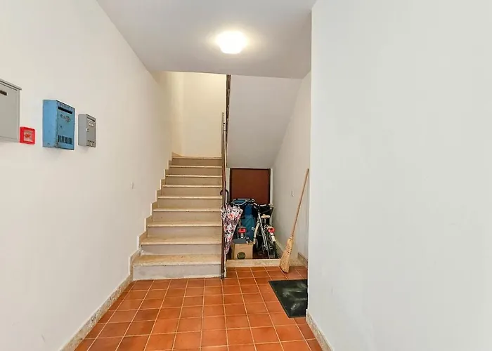 Pepi Novigrad (Istria)